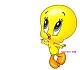 Avatar của Tweety
