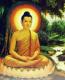 Avatar của Dhamma Vinaya