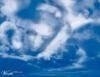 Avatar của Mây